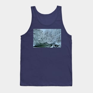 Southern Illinois Winter Scene 2_Dec 2012 Tank Top